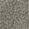 Prancer - Color Woodland Indoor 12 ft. Texture Beige Carpet (1080 sq. ft./Roll) by TrafficMaster