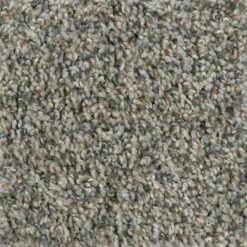 Prancer - Color Woodland Indoor 12 ft. Texture Beige Carpet (1080 sq. ft./Roll) by TrafficMaster